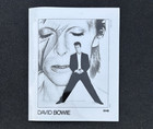 David Bowie   Tin Machine Press Photos - 2 Vintage 8x10 B w 1990 undated