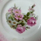 Prmk German Antique Plate With Pink Roses And A Pink Border 8 Inches