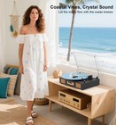 Vintage Vinyl Record Player  3-speed Turntable With Bluetooth  Usb sd Recordi   