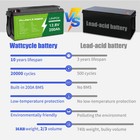 12v 100ah 200ah Lithium Battery Deep Cycle Lifepo4 Bms For Solar Off-grid Rv