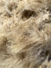 Raw Southdown Sheep Wool Fleece- 3 Lbs   Not Skirted- Not Washed