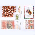         free Ship     Craft Buddy Brown Cat Latch Hook Kit