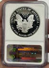 2002  w  American Silver Eagle Ngc Pf 69 Ultra Cameo Silver Dollar Coin  8065