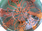 Vintage Mid Century Artists Enamel On Copper Abstract Bowl Signed J C Y 6 5 8  D