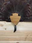 Turkey Tail   Beard Oak Hardwood Plaque