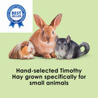 Kaytee Timothy Hay  High Fiber  Grown Specifically For 12 Pound  pack Of 1 