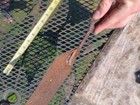 Antique Lightning Rod Weathervane