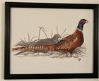 Vintage Cross Stitch  ring-necked Pheasant  Print Picture 