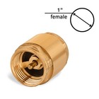 Brass One Way Check Valve 1 Inch Backflow Preventer Female Npt Thread For Plu   