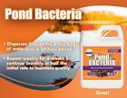 Pondworx Pond Bacteria - Concentrated Formulated For Large Ponds Water Feat 32oz