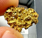 4 08 Gram Alaska Gold Nugget Beautiful Honeycomb Alaskan Yukon Nug No Quartz