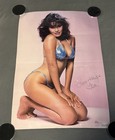 Rare Original Vintage    luv   Hugs    Tia Carrere Sexy Bikini Girl Poster   32 5x22