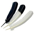 Imitation Eagle Quills - Black   White Long Feathers For Decorations Ceremonies