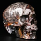 Huge 5 0  Mexico Crazy Lace Agate Carved Skull  Super Realistic  Crystal Healing
