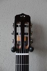 New Cordoba Fusion 14 Maple Nylon String Acoustic electric Classical Guitar