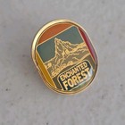 Vintage Lapel Pin Enchanted Forest Salem Oregon Amusement Theme Park Souvenir