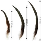 50pcs Rooster Coque Tail Feathers Bulk Natural 12-14inch 30-35cm For Crafting We
