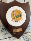 Vietnam War Era River Rattlers Atkron 204 Fighter Jet Squadron 204th Us Plaque 