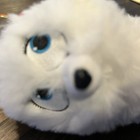 Ty Beannie Babies Plush Stuffed Animal 6  The Pets Gidget White