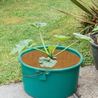 10 Pcs Coconut Fibers Mulch Ring Tree Protector Mat  24 Inch Coco Coir For New