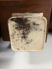 Vintage Dietetic Kitchen Scale