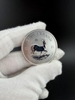 2017 South African Krugerrand 50th Anniversary Privy 1 Oz  999 Silver Coin