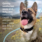 Hot Spot   Itch Relief Spray For Dogs Cats Topical Treatment Skin