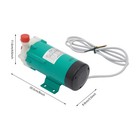 Magnetic Drive Water Pump Mp-20r Food Grade Industrial Pump Stainless 110v Top