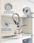 Restaurant 3 Compartment Sink Faucet With 1 15gpm Sprayer  8  Center Wall Mount