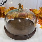 Fall Blown Glass Pumpkin Cloche Dome Wood Pedestal Cake Appetizer Serving Dish