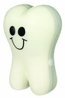 Toysmith Twinkle Toof Tooth  3 5-inch   For Boys   Girls Ages 3 