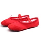 Women Gymnastics Ballet Dance Shoes Adult Dance Shoes Soft Sole Dance Shoes