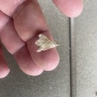 3 Authentic Missouri Bird Point Arrowheads Indian Artifacts