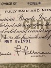 1981 American Brands Inc  Common Stock Certificate 1 Share  folded  Bt3