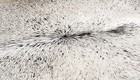 100  New Cowhide Rugs Area Cow Skin Leather  56 x 52   Cow Hide Sa-2031