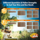 10lb Pollen Patties For Bees  10x1lb  W  4  Usa Pollen Aminos Bee Food Spring