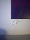 Sam Bass 1995 Team Ac Racing 1995 Lithograph 311 500