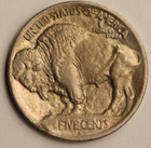 1913-s Type 1 Buffalo Nickel Au