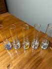 Vodka Shooters Set Of 5 Shot Glass