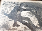 Winslow Homer 1862 Sharp Shooter On Picket Duty Civil War Army Newspaper Print