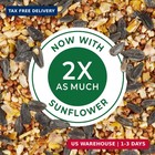Kaytee Wild Bird Food Basic Seed Blend  5 Lb