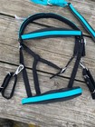 Teal   Black Nylon Western Halter bridle Combination Set  W reins  Breast Collar