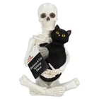 Skeleton And Cat Decoration  Black And White  8 8   Halloween By Way To Celebrat