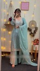 Indian Pakistani Ethnic Palazzo Suit Bollywood Designer Beautiful Salwar Kameez