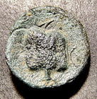 Greek Coin  Helmeted Athena In Pomegranate City  16-17mm  2nd 1st Cent  Bc