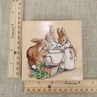 Stampendous Beatrix Potter Blackberries For Tea Rw001 Bunnies Bunny Rubber Stamp