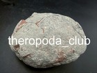 Hadrosaur Dinosaur Egg Fossil     Compact Natural Egg Specimen     Classic Cretaceou