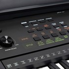 Yamaha Psr-e283 61-key Entry-level Portable Keyboard - Sku 2034689