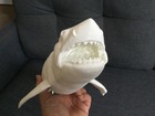 Jaws-xl Custom 3d Print-bruce The Shark