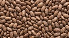 Organic Dried Whole Pinto Beans Fresh  Raw Non-gmo Vegan Bulk By Rawjoy